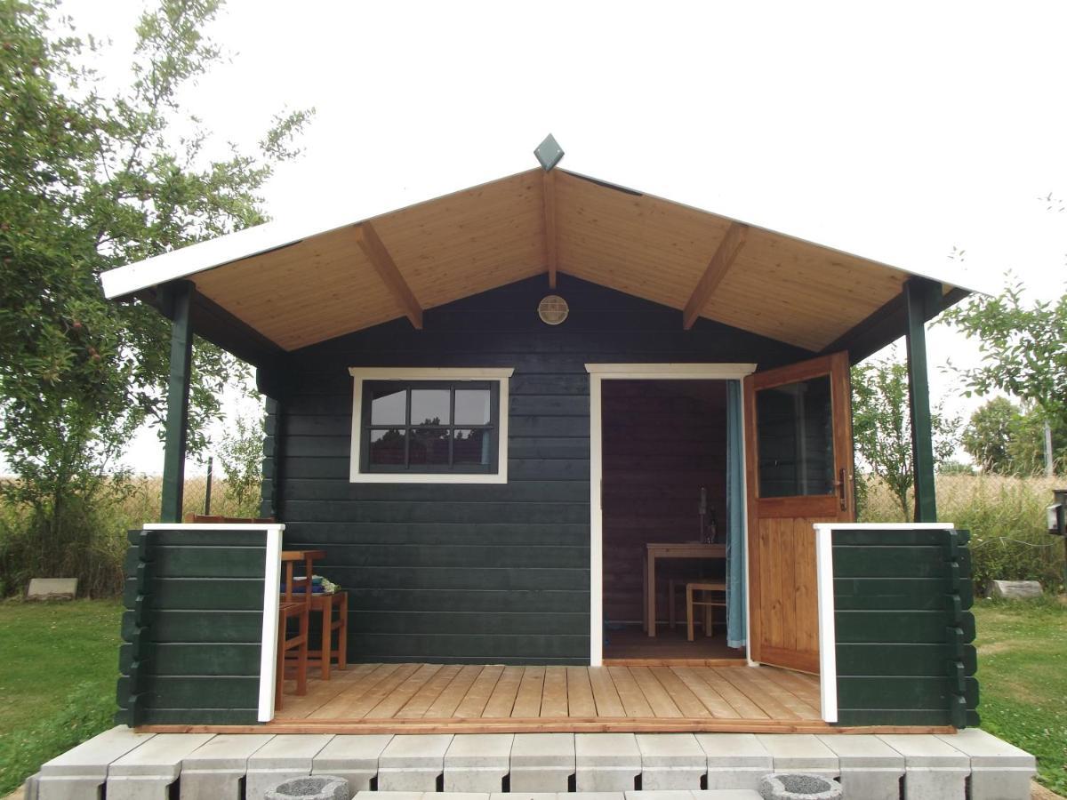 Camping & Guest House Pliskovice Mirovice Exteriör bild