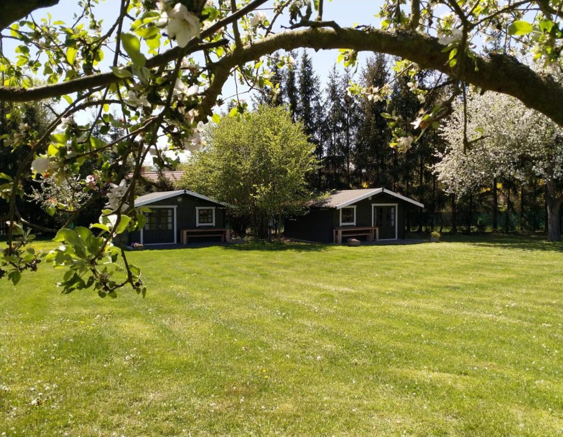 Camping & Guest House Pliskovice Mirovice Exteriör bild