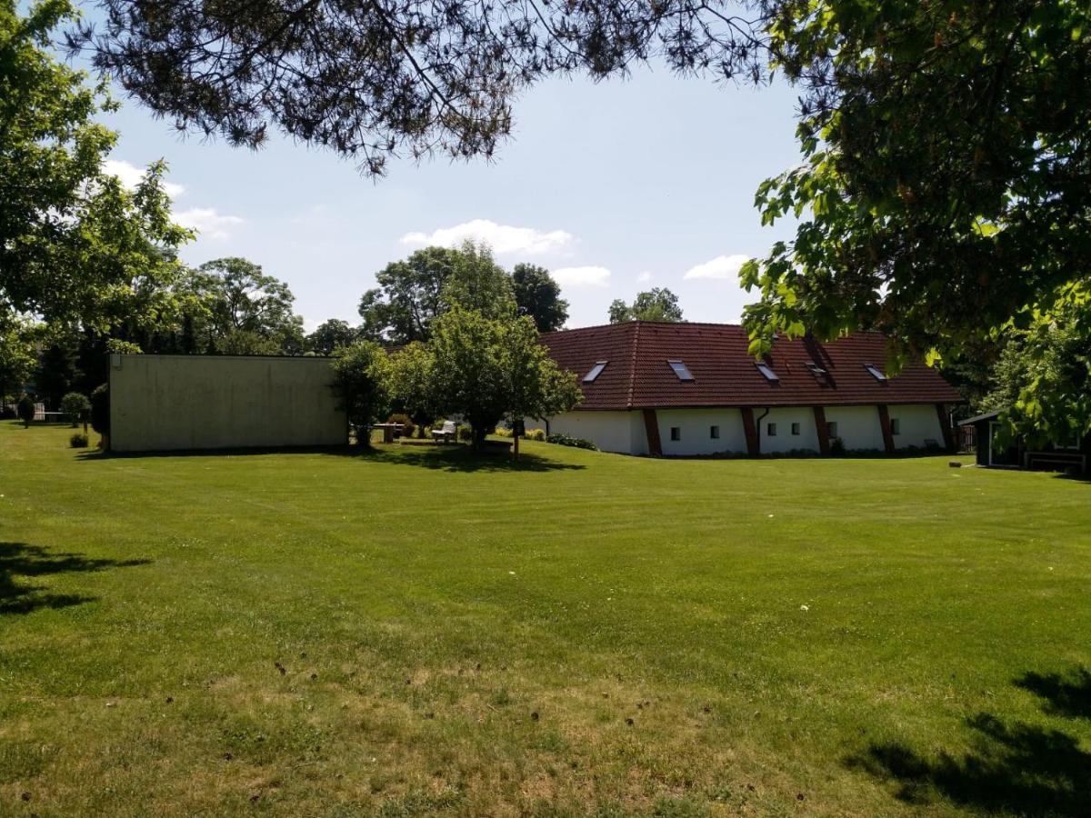 Camping & Guest House Pliskovice Mirovice Exteriör bild