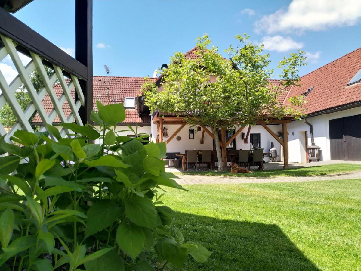 Camping & Guest House Pliskovice Mirovice Exteriör bild
